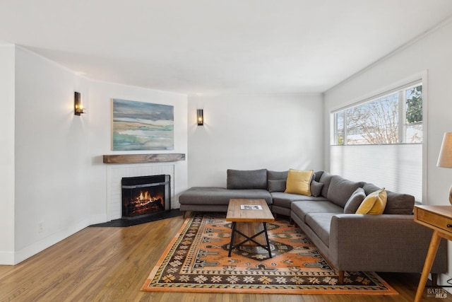 living room with a fireplace, wood finished floors, and baseboards