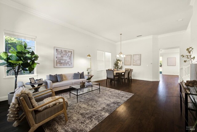 living area featuring dark wood-type flooring, a chandelier, ornamental molding, and baseboards