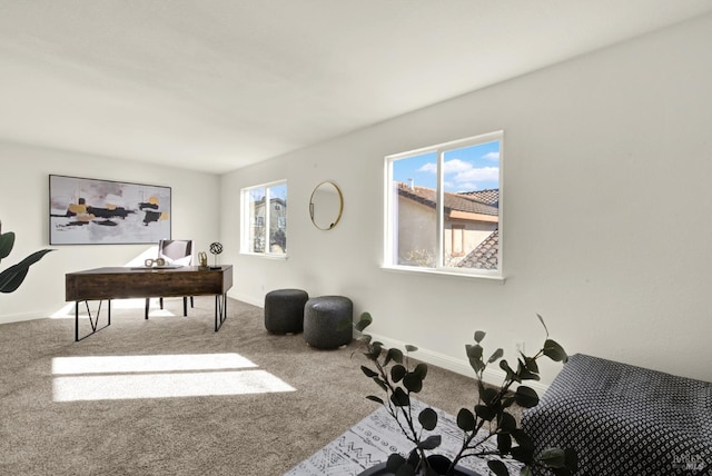 interior space featuring carpet floors and baseboards