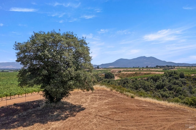 property view of mountains with a rural view