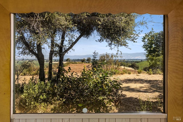 view of yard featuring a rural view and a mountain view