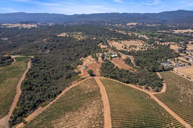 birds eye view of property with a rural view and a mountain view