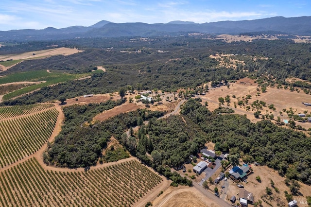 aerial view with a mountain view