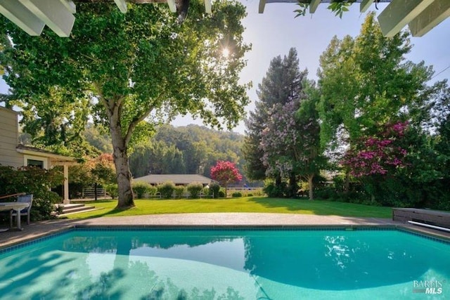 pool with a lawn