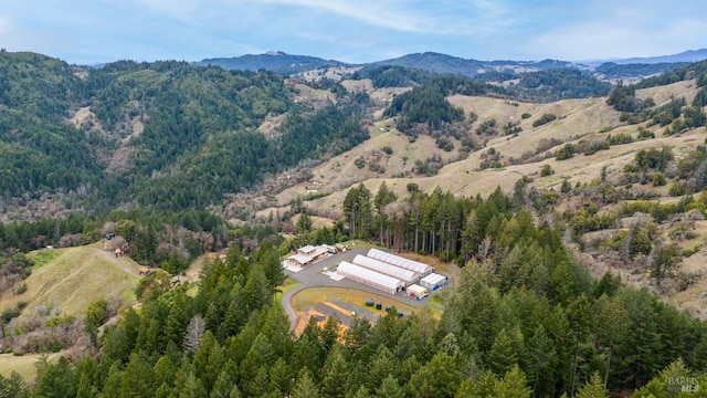 aerial view with a forest view and a mountain view