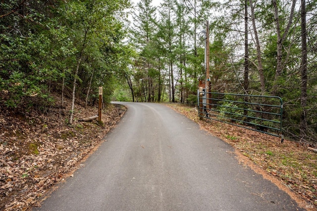 view of road featuring a gated entry and a gate