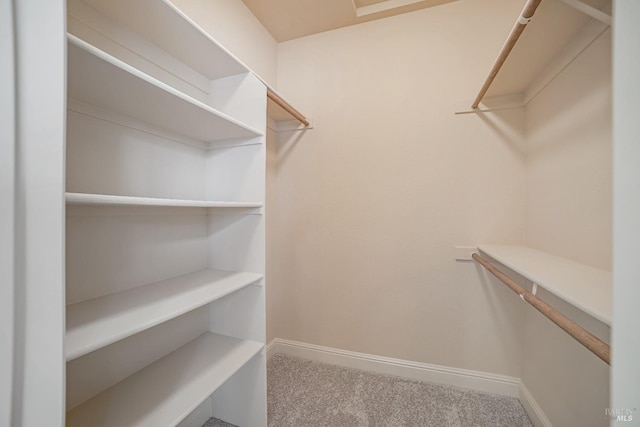 walk in closet featuring carpet floors