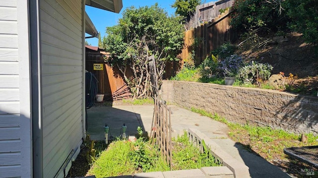 view of yard with a patio area and a fenced backyard