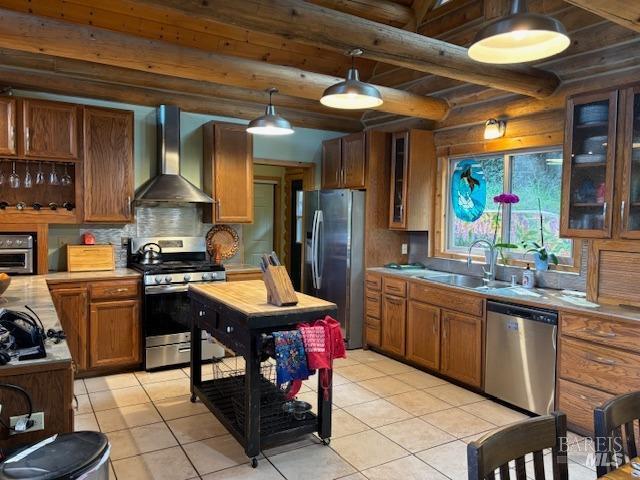 kitchen with wall chimney exhaust hood, appliances with stainless steel finishes, light countertops, and a sink