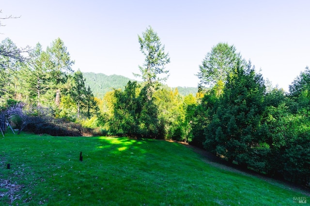 view of yard featuring a view of trees