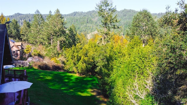 view of yard featuring a forest view and a trampoline