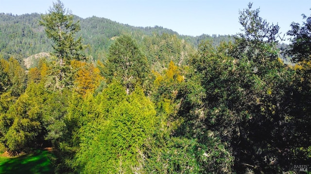 view of local wilderness with a view of trees