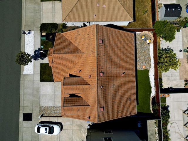bird's eye view