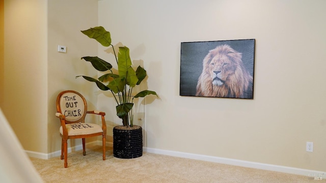 sitting room featuring baseboards and carpet flooring