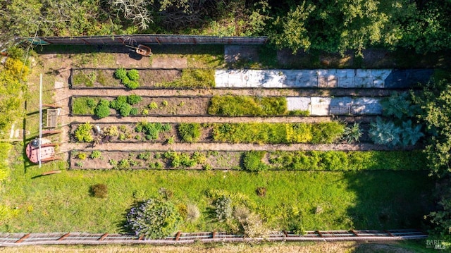 790 Tilton Rd, Sebastopol, CA 95472 - aerial view