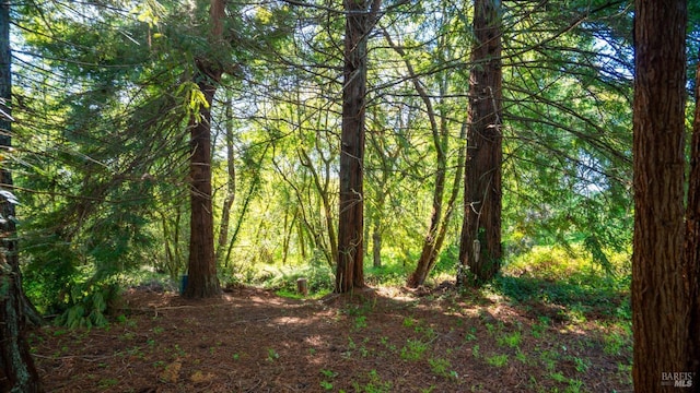 790 Tilton Rd, Sebastopol, CA 95472 - view of wooded area