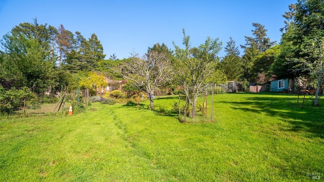 790 Tilton Rd, Sebastopol, CA 95472 - view of green lawn