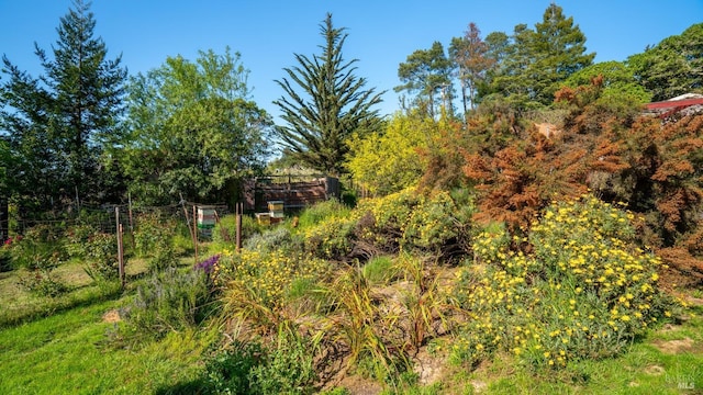 790 Tilton Rd, Sebastopol, CA 95472 - view of local wilderness