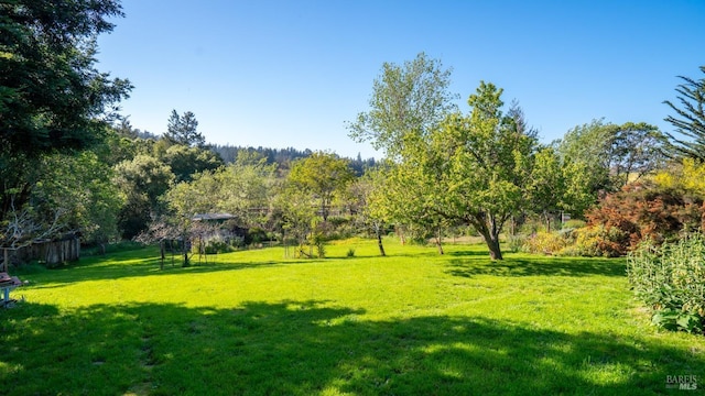790 Tilton Rd, Sebastopol, CA 95472 - view of green lawn