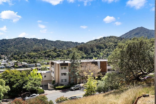 property view of mountains