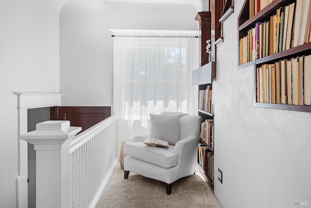 sitting room featuring carpet flooring