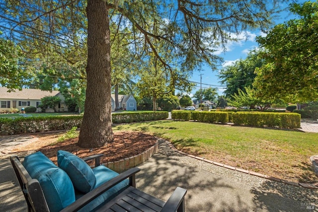 exterior space with a lawn