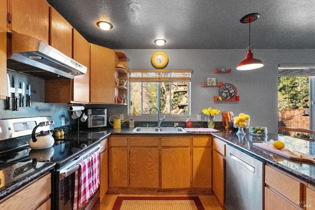 kitchen featuring appliances with stainless steel finishes, a sink, a wealth of natural light, and under cabinet range hood