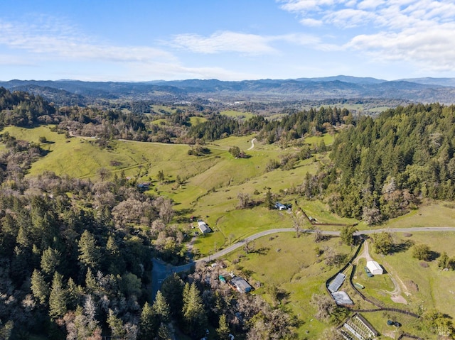 drone / aerial view with a forest view and a mountain view