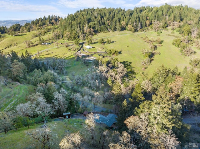 drone / aerial view featuring a wooded view