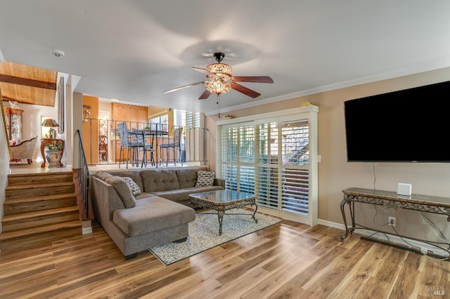 living room featuring stairs, light wood-type flooring, crown molding, and ceiling fan