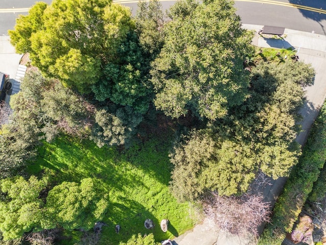Listing photo 2 for 0 E Strawberry Dr, Mill Valley CA 94941