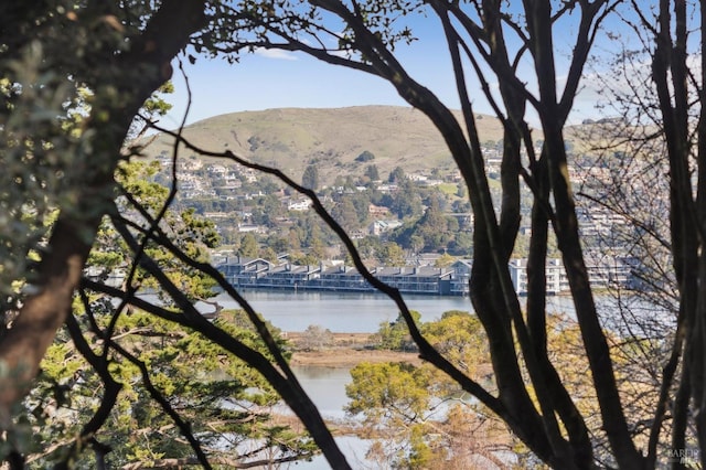 Listing photo 3 for 0 E Strawberry Dr, Mill Valley CA 94941