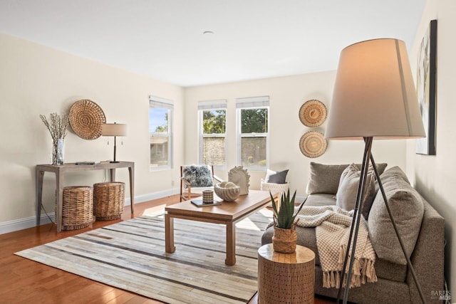 living room with baseboards and wood finished floors