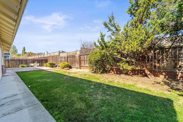 view of yard featuring a patio and a fenced backyard