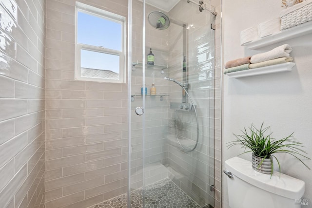 bathroom featuring toilet and a stall shower