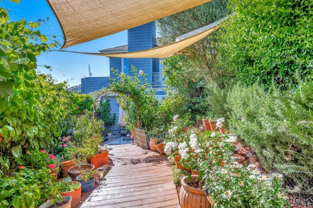 7 Highland Ave, San Rafael, CA 94901 - view of yard