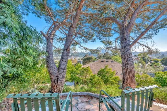 7 Highland Ave, San Rafael, CA 94901 - view of yard