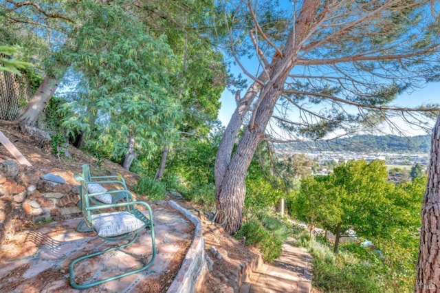 7 Highland Ave, San Rafael, CA 94901 - view of yard