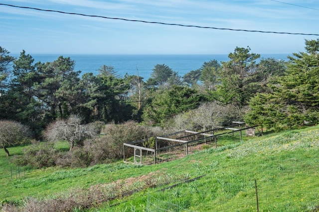 view of yard with a water view