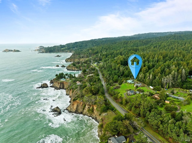 aerial view featuring a water view and a view of trees