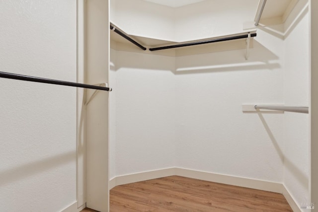 walk in closet featuring wood finished floors