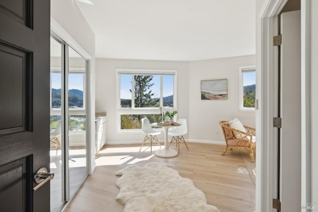 interior space featuring baseboards, a mountain view, and light wood finished floors