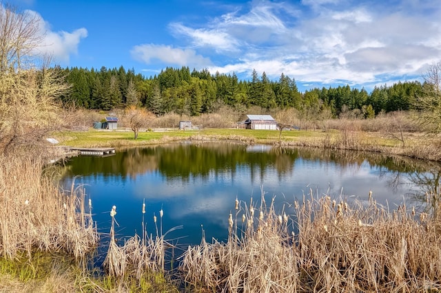 property view of water with a wooded view