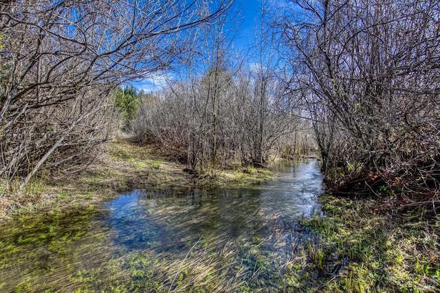 property view of water featuring a wooded view