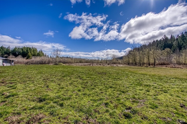 view of yard featuring a forest view and a rural view