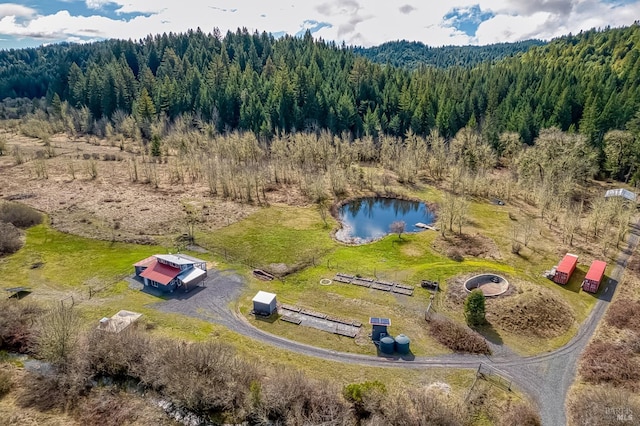 drone / aerial view with a water view and a view of trees