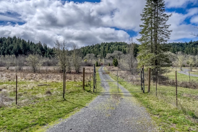 view of street with a gate, a gated entry, a wooded view, and a rural view