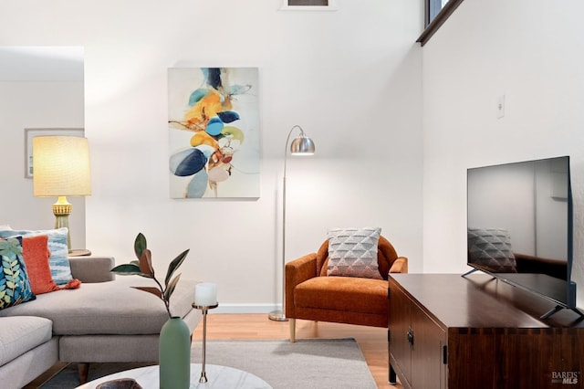 living room featuring light wood finished floors