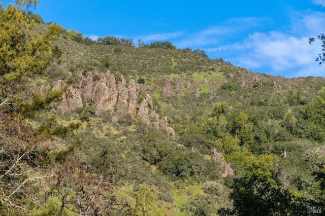 mountain view with a wooded view