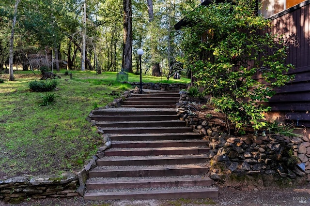 view of yard featuring stairway